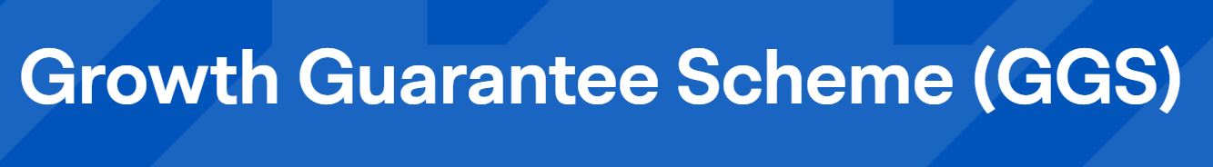 Logo for the new Government Growth Guarantee Scheme provided through the British Business Bank